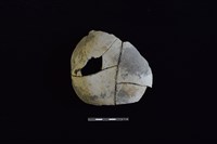 陶片藏品圖，第1張